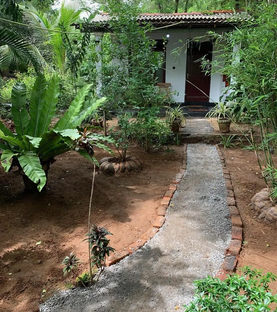 Manju Homestay Sigiriya Sri Lanka