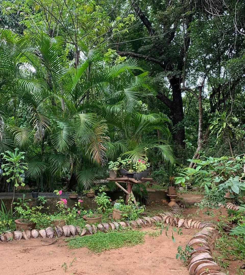 Manju Homestay سيغيرِيا