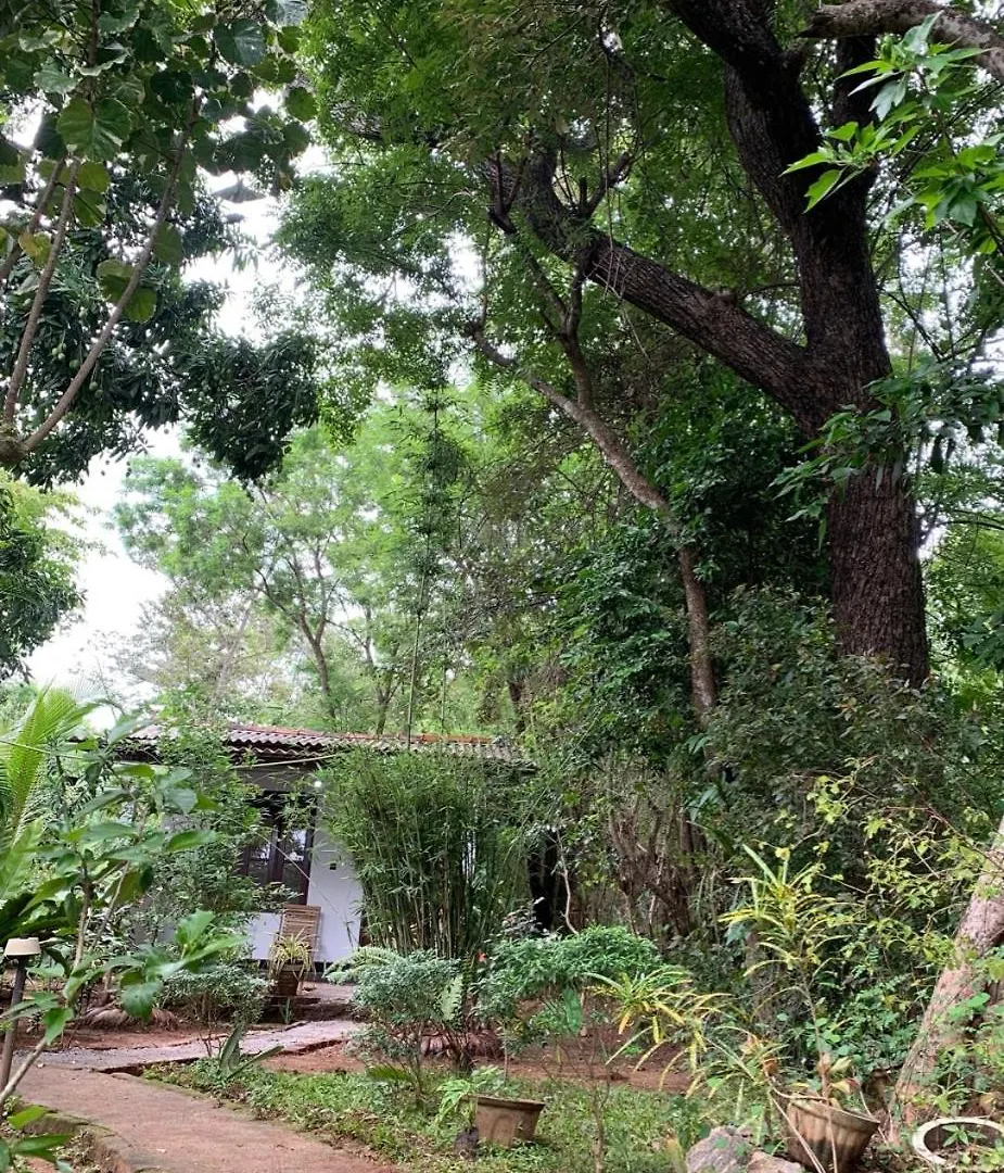 Manju Homestay سيغيرِيا