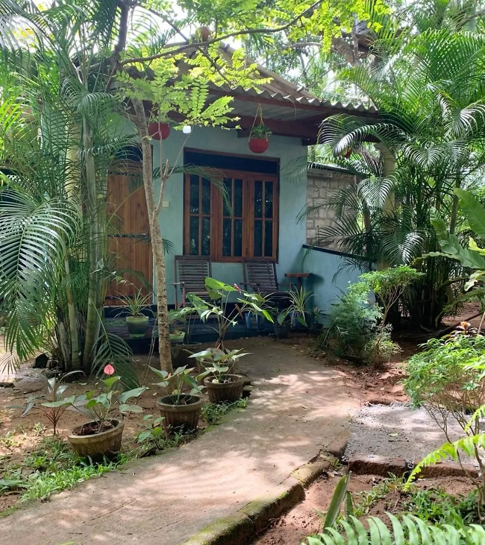 Manju Homestay سيغيرِيا