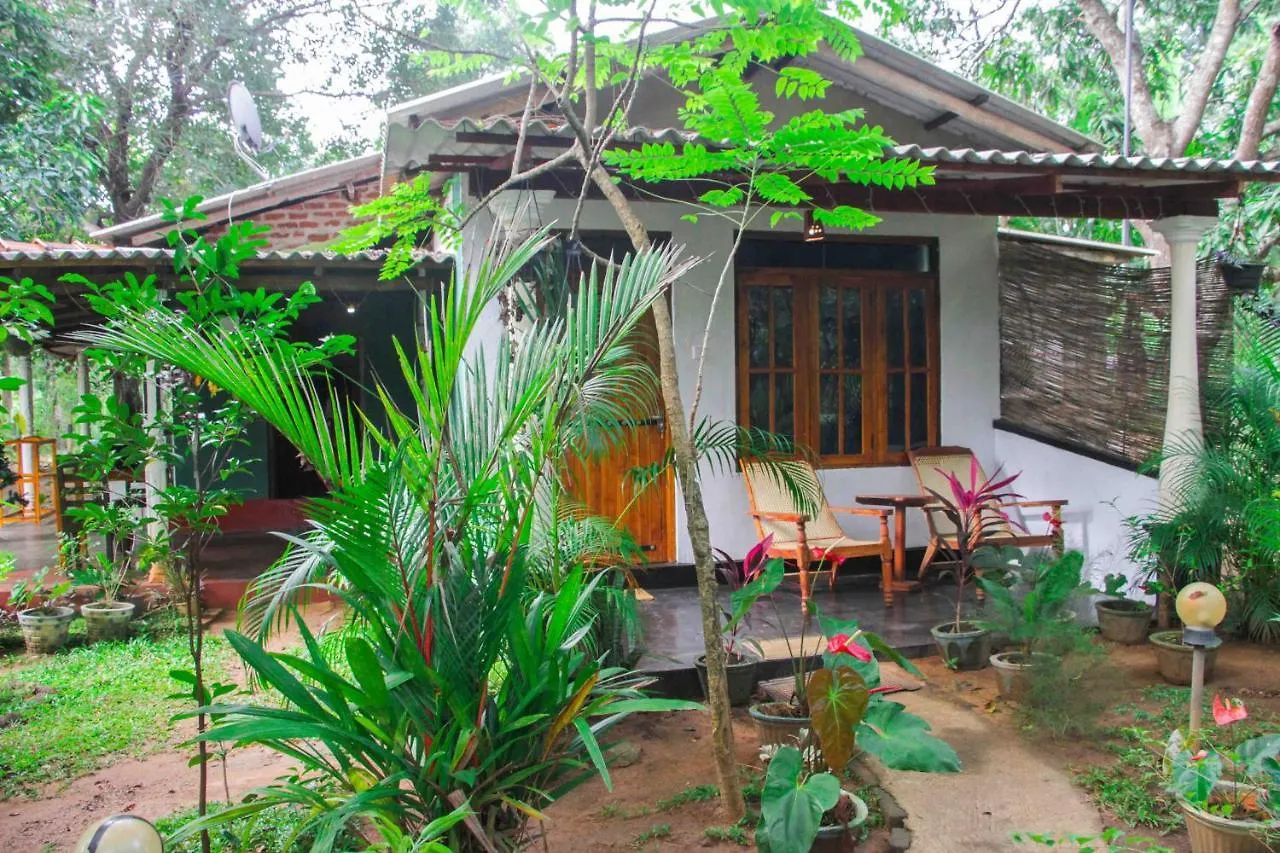 Manju Homestay سيغيرِيا