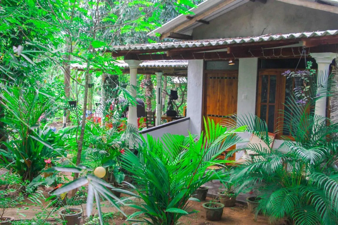 Manju Homestay سيغيرِيا
