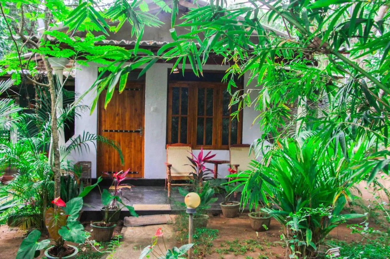 Manju Homestay سيغيرِيا سريلانكا