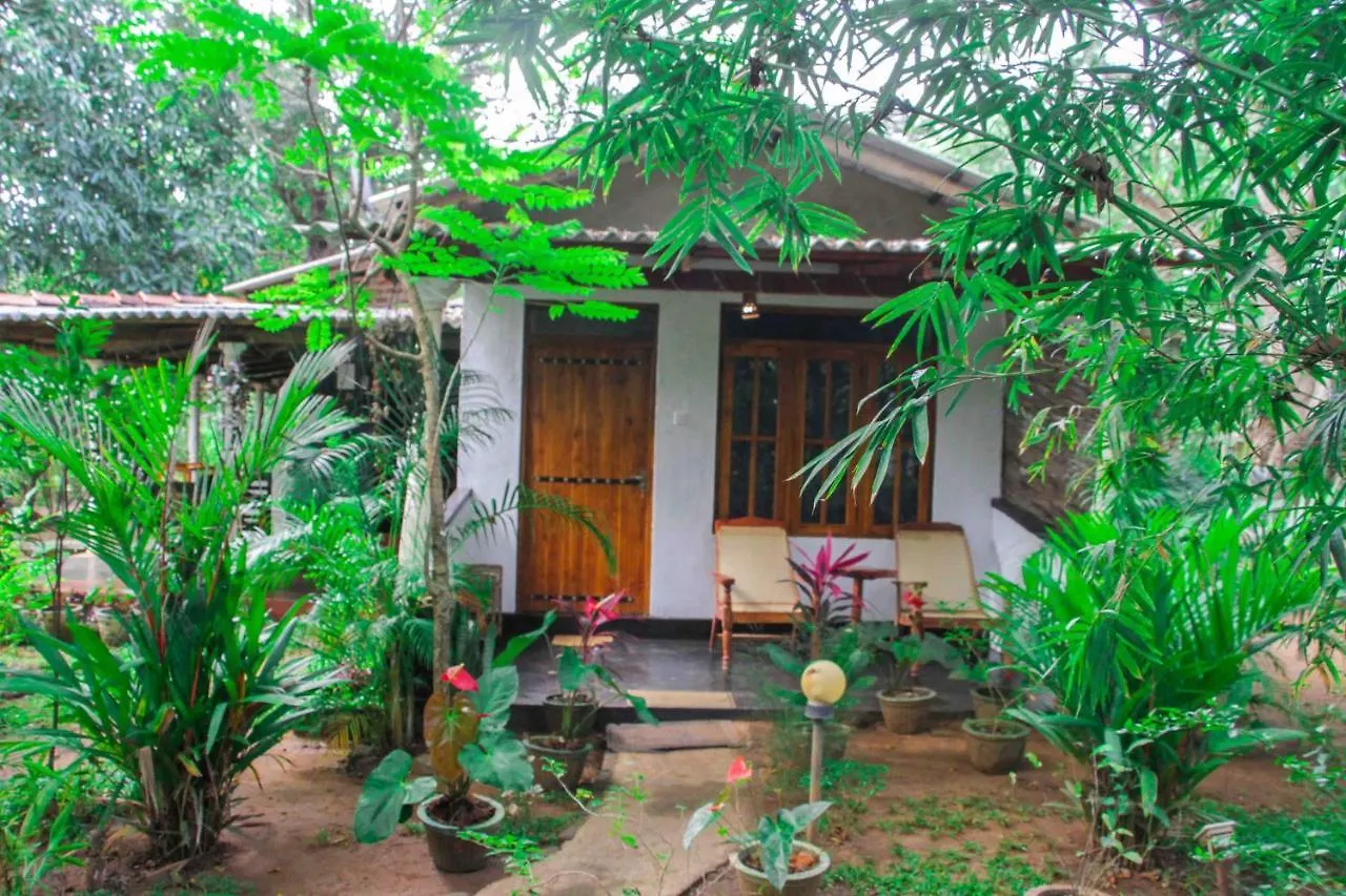 Manju Homestay سيغيرِيا 0*,